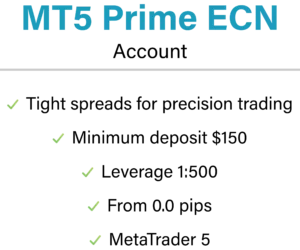MT5 ECN
