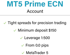 MT5 ECN