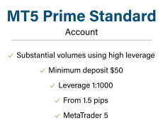MT5 Standard Mobile